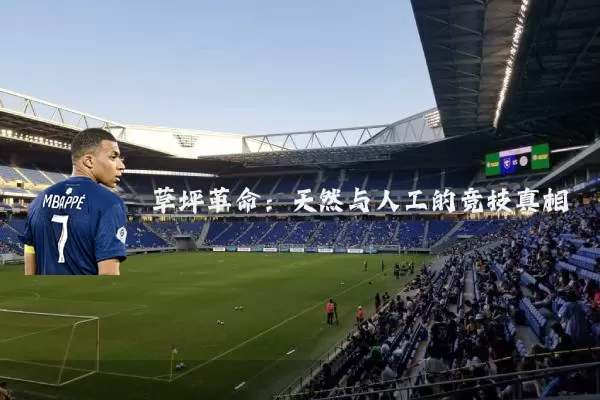 草坪革命:天然与人工的竞技真相